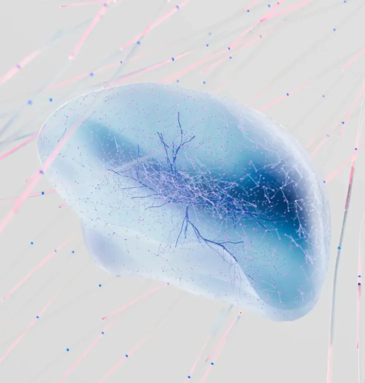 Une illustration abstraite d'un cerveau. L'image évoque un réseau de neurones. On voit les connexions neuronales en fond.